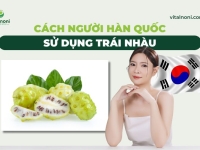 Cách Người Hàn Quốc Sử Dụng Trái Nhàu và các công dụng