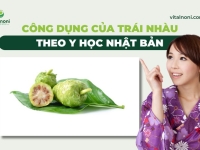 Công dụng của Trái nhàu theo Y học Nhật Bản