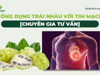 Công Dụng Trái Nhàu Với Tim Mạch [Chuyên gia Tư Vấn]