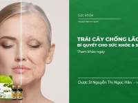 Trái Cây Chống Lão Hóa: Bí Quyết Cho Sức Khỏe & Sắc Đẹp