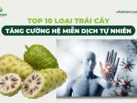 TOP 10 loại Trái Cây Tăng Cường Hệ Miễn Dịch tự nhiên