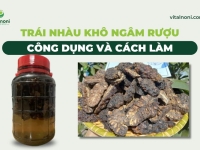 Trái Nhàu khô ngâm Rượu​: Công dụng và Cách làm