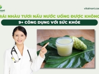 Trái nhàu tươi nấu nước uống được không? 9+ Công Dụng với sức khỏe