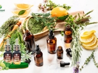 Tinh Dầu Là Gì? Phân Loại & Cách Chọn Mua Tinh Dầu