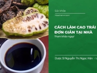 Cách làm Cao Trái Nhàu trị bệnh tại nhà