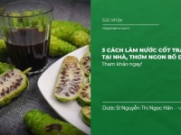 3 Cách Làm Nước Cốt Trái Nhàu tại nhà thơm ngon bổ dưỡng