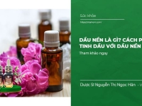 Dầu nền là gì? Cách Pha Tinh Dầu với Dầu Nền đúng tỷ lệ