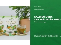 Cách sử dụng Trà Trái Nhàu thảo dược hiệu quả
