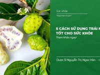 5 Cách sử dụng trái nhàu tốt cho sức khỏe