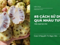 #5 Cách sử dụng quả Nhàu tươi Hiệu Quả tại nhà