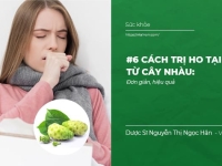 #6 cách Trị Ho tại nhà từ cây Nhàu: Đơn giản, hiệu quả