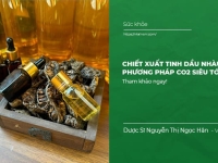 Chiết xuất tinh dầu Nhàu bằng phương pháp CO2 siêu tới hạn
