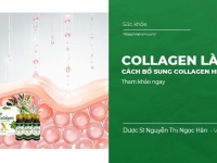 Collagen là gì? Lợi ích & Cách bổ sung Collagen hiệu quả