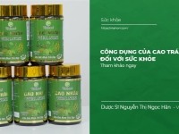 Công dụng của Cao Trái Nhàu đối với sức khỏe