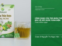 Công dụng của Trà Nhàu Thảo Dược: Bảo vệ Sức Khỏe toàn diện