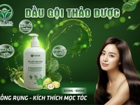 Dầu gội thảo dược VitalLife: Giải pháp cho mái tóc chắc khỏe