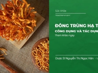 Đông Trùng Hạ Thảo: Công dụng và tác dụng phụ