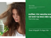 Dưỡng tóc nhuộm không bị xơ khô tại nhà hiệu quả