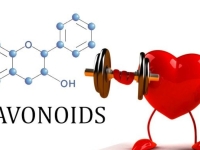 Flavonoid là gì và có công dụng gì với sức khỏe?