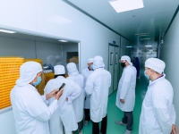 Thư mời hợp tác xuất khẩu Noni (trái nhàu) & sản phẩm từ nhàu: nguyên liệu – OEM/ODM – phân phối