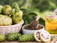7 lợi ích nổi bật của nước cốt trái nhàu đối với sức khỏe