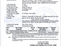 Tầm quan trọng của enzyme Cellulase trong sức khỏe con người