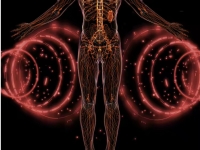 Có nên sử dụng cabin thải độc (cabin sinh học)? Lợi ích, lưu ý và những hiểu lầm thường gặp