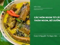 Các món Ngon từ cây Nhàu: Thơm Ngon, Bổ Dưỡng