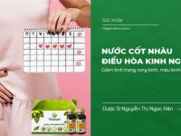 Công dụng của trái nhàu, nước cốt nhàu điều hòa kinh nguyệt