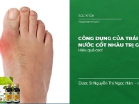 Công dụng của Trái nhàu, nước cốt nhàu trị Gout và cách sử dụng Hiệu Quả