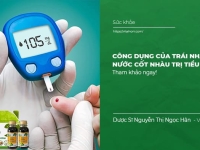 Tác dụng của Trái Nhàu trị Tiểu Đường, nước cốt nhàu trị Tiểu Đường