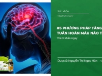 #5 Phương Pháp Tăng Tuần Hoàn Máu Não tại nhà