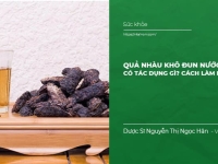 Quả Nhàu khô đun nước uống có Tác dụng gì?