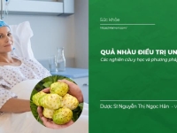 Quả nhàu hỗ trợ điều trị Ung Thư, phòng chống ung thư