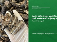 Cách lựa chọn và sử dụng quả nhàu khô hiệu quả nhất
