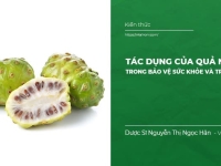 Tác dụng của quả Nhàu trong bảo vệ Sức Khỏe và trị Bệnh