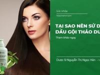 Tại sao nên sử dụng dầu gội thảo dược? Lợi ích tuyệt vời cho mái tóc