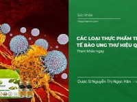 Các loại Thực phẩm tiêu diệt tế bào ung thư hiệu quả 