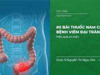 #5 Bài thuốc nam chữa bệnh viêm đại tràng hiệu quả