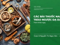 Các bài thuốc nam trị trào ngược dạ dày: Dễ kiếm & hiệu quả