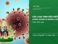 Các loại Tinh Dầu Diệt Virus , Kháng Khuẩn Tự Nhiên & Cách Dùng
