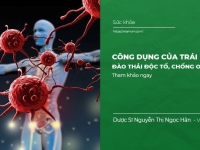 Công dụng của Trái nhàu đào thải độc tố, Chống oxy hóa