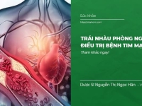 Trái nhàu Phòng Ngừa và Điều Trị bệnh tim mạch