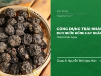 Công dụng Trái nhàu khô, đun nước uống hay ngâm rượu
