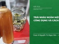 Trái Nhàu ngâm Mật Ong: Công Dụng, Ai không nên sử dụng