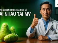 Các nghiên cứu khoa học về trái Nhàu tại Mỹ: Thành phần, công dụng