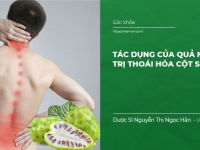 Tác dụng của Quả nhàu trị thoái hóa cột sống