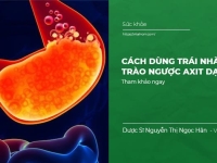 Cách Dùng trái Nhàu trị Trào Ngược Axit Dạ Dày hiệu quả