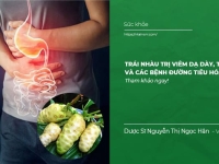 Trái Nhàu trị viêm dạ dày, tá tràng và các bệnh đường tiêu hóa