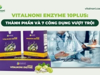 Vitalnoni Enzyme 10Plus: Thành Phần và 7 Công Dụng vượt trội